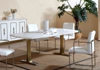 New Dining Table Set
